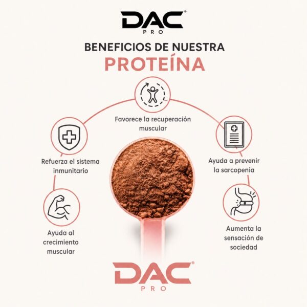 Whey Protein Sabor Chocolate Dubai (7)